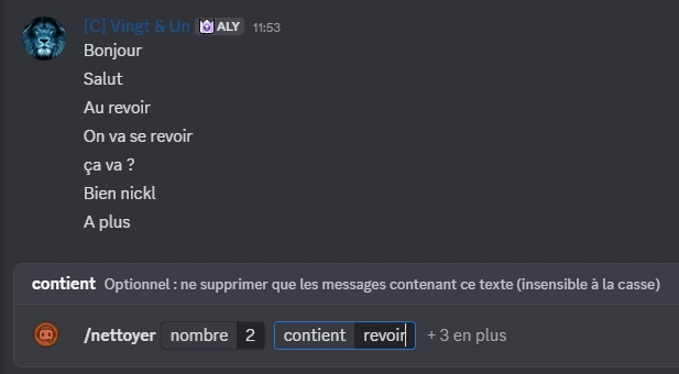 Exemple de nettoyage de salon